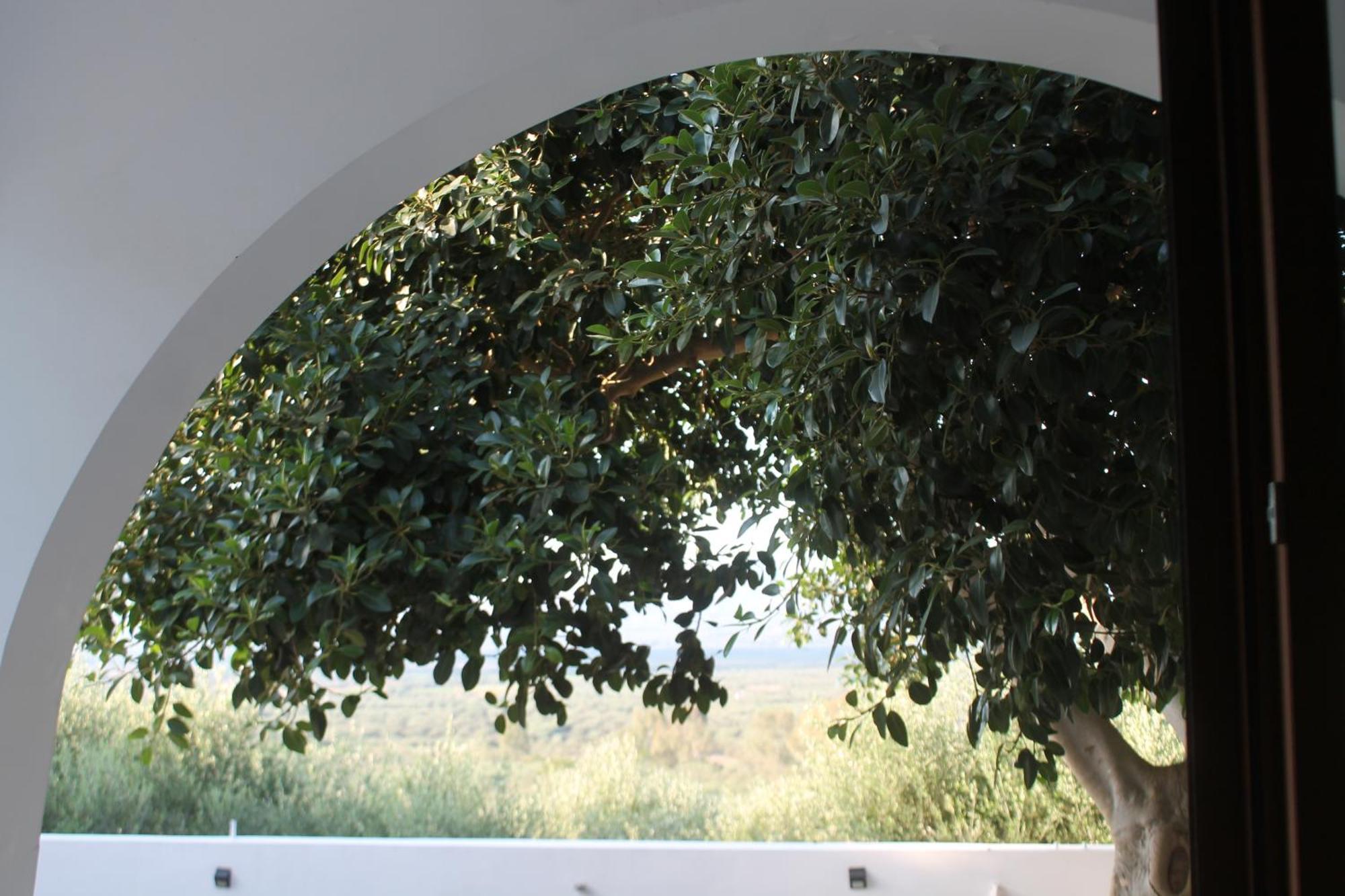 A Crystal Clear House In Pyrgos, Heraklion Crete Pirgos  Buitenkant foto