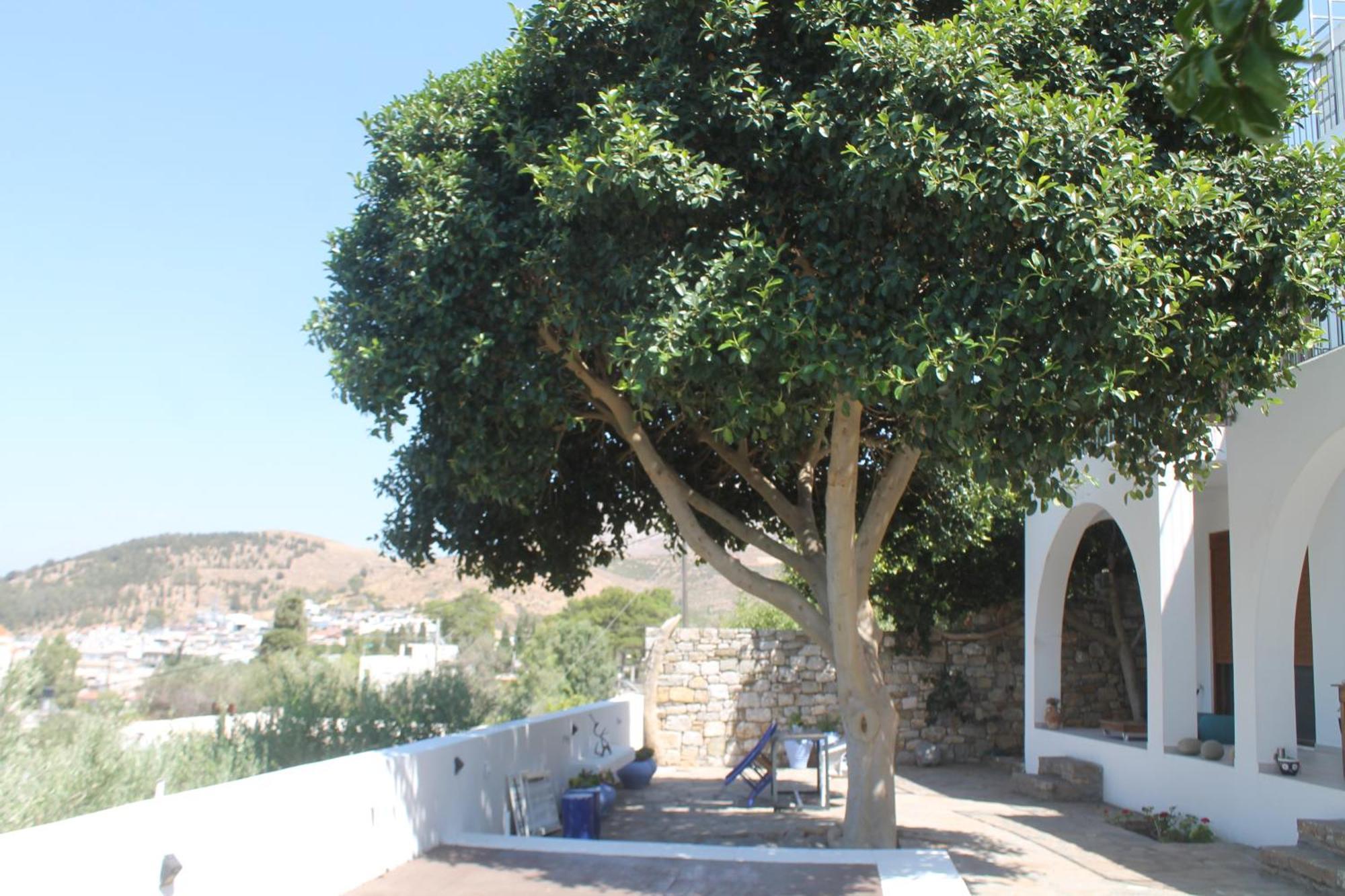 A Crystal Clear House In Pyrgos, Heraklion Crete Pirgos  Buitenkant foto